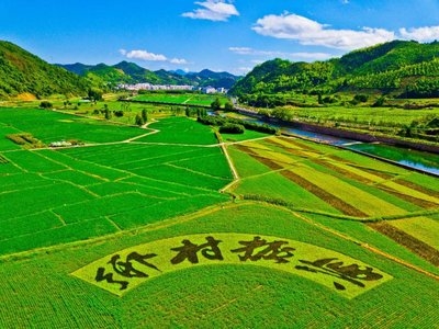 鄉(xiāng)村振興工作動(dòng)態(tài) （第144期）